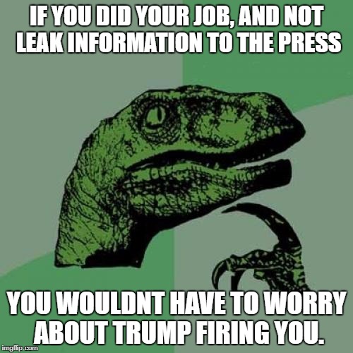 Philosoraptor Meme | IF YOU DID YOUR JOB, AND NOT LEAK INFORMATION TO THE PRESS; YOU WOULDNT HAVE TO WORRY ABOUT TRUMP FIRING YOU. | image tagged in memes,philosoraptor | made w/ Imgflip meme maker