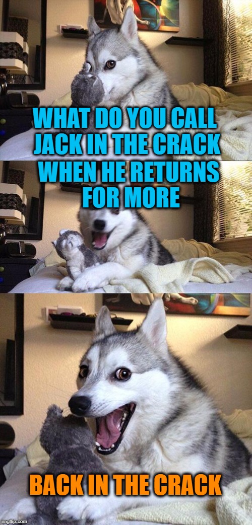 Bad Pun Dog Meme | WHAT DO YOU CALL JACK IN THE CRACK WHEN HE RETURNS FOR MORE BACK IN THE CRACK | image tagged in memes,bad pun dog | made w/ Imgflip meme maker