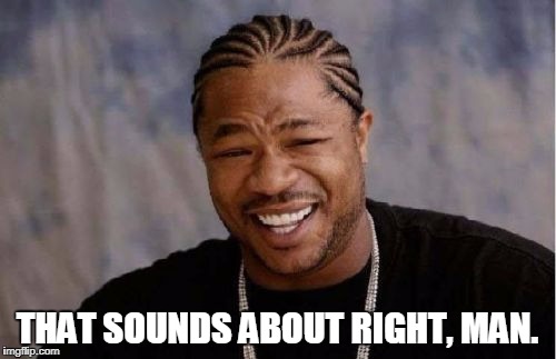 Yo Dawg Heard You Meme | THAT SOUNDS ABOUT RIGHT, MAN. | image tagged in memes,yo dawg heard you | made w/ Imgflip meme maker