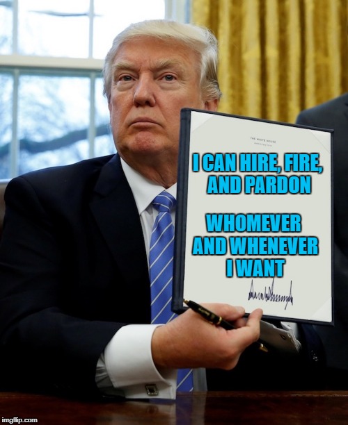 Executive order | I CAN HIRE, FIRE, AND PARDON WHOMEVER AND WHENEVER I WANT | image tagged in executive order | made w/ Imgflip meme maker