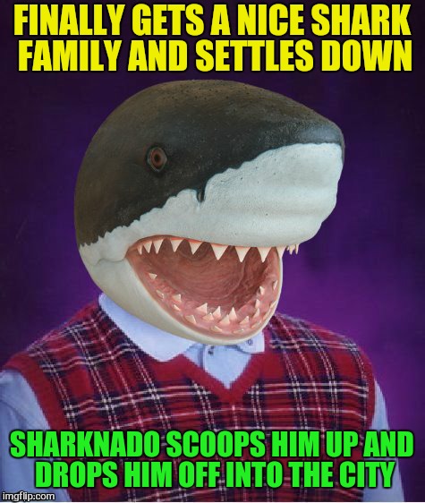 Bad Luck Shark | FINALLY GETS A NICE SHARK FAMILY AND SETTLES DOWN SHARKNADO SCOOPS HIM UP AND DROPS HIM OFF INTO THE CITY | image tagged in bad luck shark | made w/ Imgflip meme maker