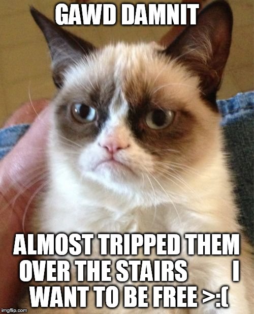 Grumpy Cat | GAWD DAMNIT; ALMOST TRIPPED THEM OVER THE STAIRS









I WANT TO BE FREE >:( | image tagged in memes,grumpy cat | made w/ Imgflip meme maker