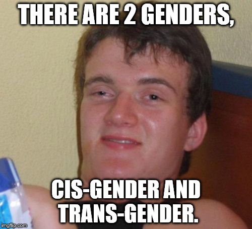 10 Guy Meme | THERE ARE 2 GENDERS, CIS-GENDER AND TRANS-GENDER. | image tagged in memes,10 guy | made w/ Imgflip meme maker