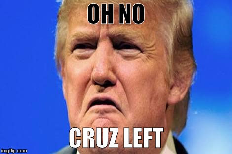 Donald trump crying | OH NO; CRUZ LEFT | image tagged in donald trump crying | made w/ Imgflip meme maker