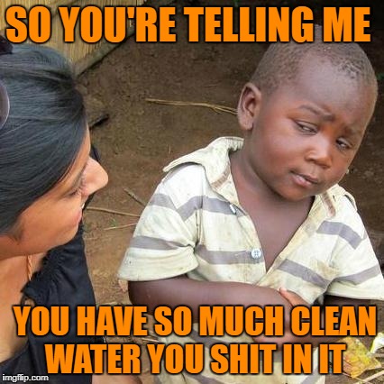 Third World Skeptical Kid Meme | SO YOU'RE TELLING ME; YOU HAVE SO MUCH CLEAN WATER YOU SHIT IN IT | image tagged in memes,third world skeptical kid | made w/ Imgflip meme maker