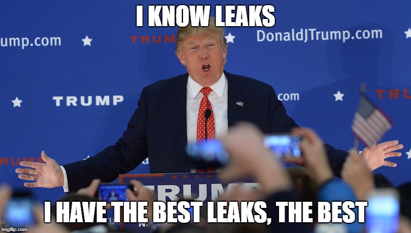 Guess words aren't the only things Trump has the best of | I KNOW LEAKS; I HAVE THE BEST LEAKS, THE BEST | image tagged in donald trump | made w/ Imgflip meme maker