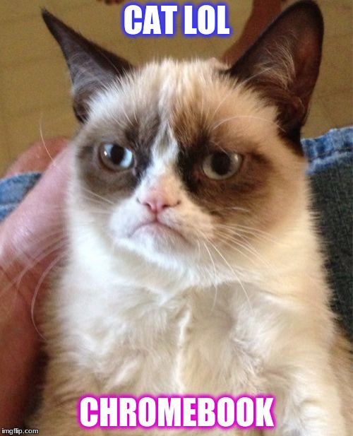 Grumpy Cat Meme | CAT LOL; CHROMEBOOK | image tagged in memes,grumpy cat | made w/ Imgflip meme maker