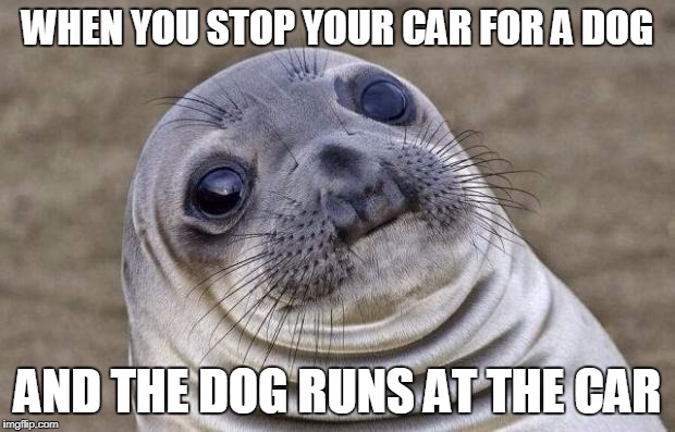 Awkward Moment Sealion Meme | WHEN YOU STOP YOUR CAR FOR A DOG; AND THE DOG RUNS AT THE CAR | image tagged in memes,awkward moment sealion | made w/ Imgflip meme maker