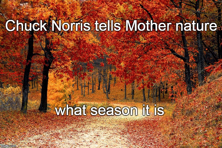 Mother Nature | Chuck Norris tells Mother nature; what season it is | image tagged in mother nature,chuck norris,memes | made w/ Imgflip meme maker
