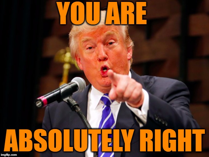 trump point | YOU ARE ABSOLUTELY RIGHT | image tagged in trump point | made w/ Imgflip meme maker