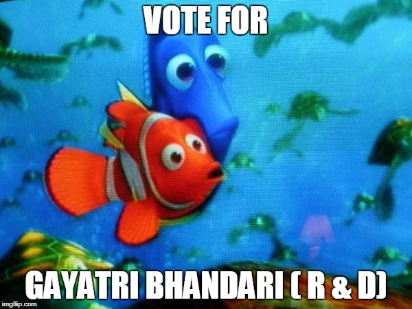 Voting buddy | VOTE FOR; GAYATRI BHANDARI ( R & D) | image tagged in voting buddy | made w/ Imgflip meme maker