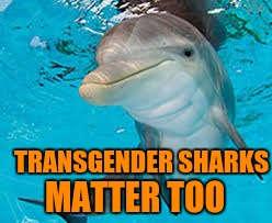 TRANSGENDER SHARKS MATTER TOO | made w/ Imgflip meme maker