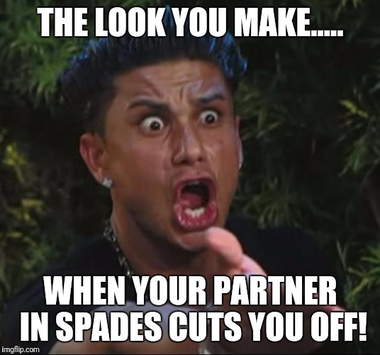 DJ Pauly D | THE LOOK YOU MAKE..... WHEN YOUR PARTNER IN SPADES CUTS YOU OFF! | image tagged in memes,dj pauly d | made w/ Imgflip meme maker