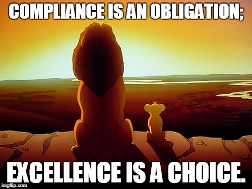 Lion King Meme | COMPLIANCE IS AN OBLIGATION;; EXCELLENCE IS A CHOICE. | image tagged in memes,lion king | made w/ Imgflip meme maker