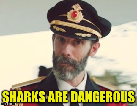 SHARKS ARE DANGEROUS | made w/ Imgflip meme maker