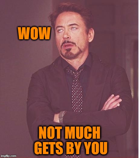 Face You Make Robert Downey Jr Meme | WOW NOT MUCH GETS BY YOU | image tagged in memes,face you make robert downey jr | made w/ Imgflip meme maker