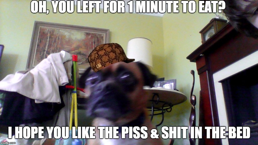 Doc | OH, YOU LEFT FOR 1 MINUTE TO EAT? I HOPE YOU LIKE THE PISS & SHIT IN THE BED | image tagged in doc,scumbag | made w/ Imgflip meme maker