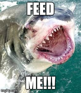 FEED ME!!! | made w/ Imgflip meme maker