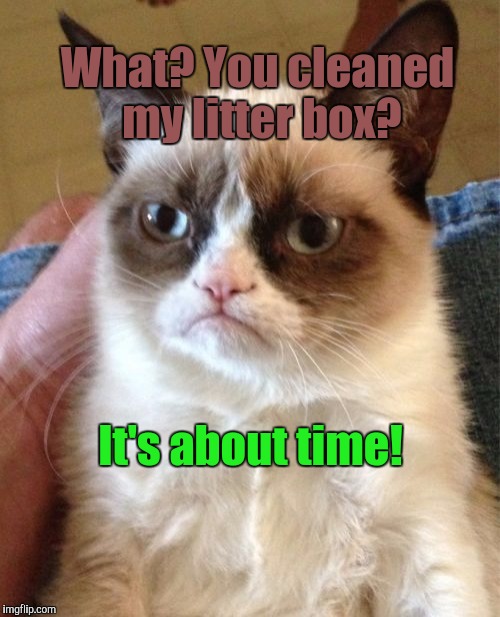 Grumpy Cat Meme | What? You cleaned my litter box? It's about time! | image tagged in memes,grumpy cat | made w/ Imgflip meme maker
