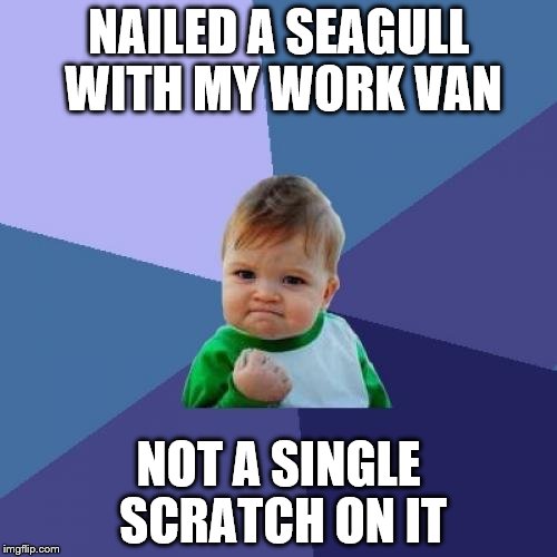 The van, not the gull | NAILED A SEAGULL WITH MY WORK VAN; NOT A SINGLE SCRATCH ON IT | image tagged in memes,success kid | made w/ Imgflip meme maker