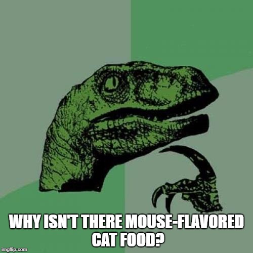 Philosoraptor Meme | WHY ISN'T THERE MOUSE-FLAVORED CAT FOOD? | image tagged in memes,philosoraptor | made w/ Imgflip meme maker