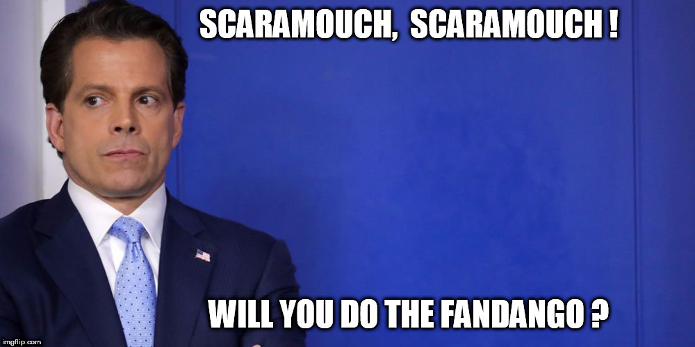 image tagged in scaramucci | made w/ Imgflip meme maker