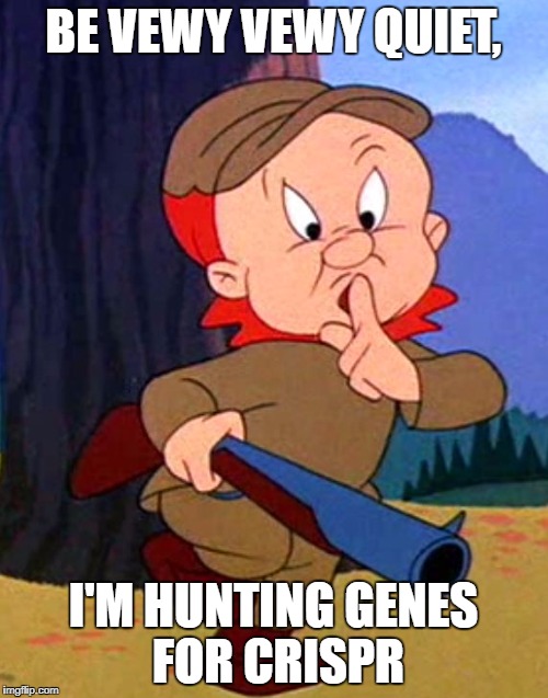 Elmer fudd | BE VEWY VEWY QUIET, I'M HUNTING GENES FOR CRISPR | image tagged in elmer fudd | made w/ Imgflip meme maker
