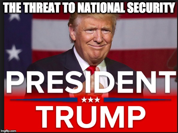 THE THREAT TO NATIONAL SECURITY | image tagged in memes | made w/ Imgflip meme maker
