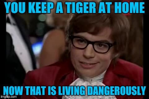 YOU KEEP A TIGER AT HOME NOW THAT IS LIVING DANGEROUSLY | made w/ Imgflip meme maker