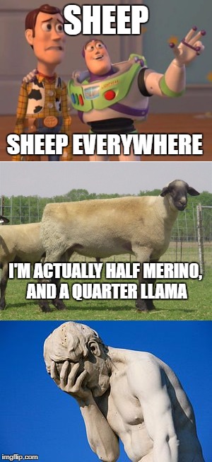 Greek guy facepalm | SHEEP; SHEEP EVERYWHERE; I'M ACTUALLY HALF MERINO, AND A QUARTER LLAMA | image tagged in sheep,x x everywhere,facepalm,funny memes | made w/ Imgflip meme maker