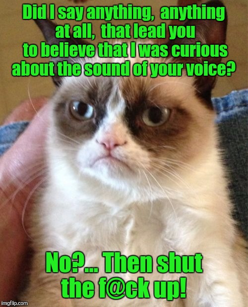 Grumpy Cat | Did I say anything,  anything at all,  that lead you to believe that I was curious about the sound of your voice? No?... Then shut the f@ck up! | image tagged in memes,grumpy cat | made w/ Imgflip meme maker