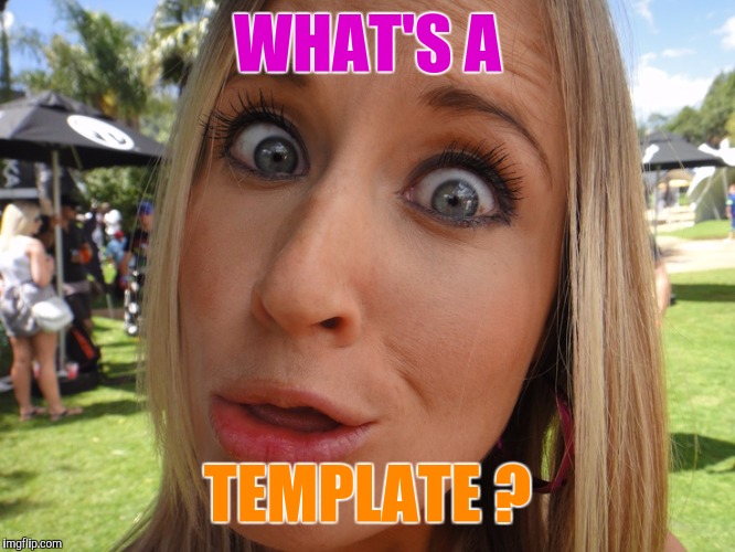 Memes | WHAT'S A TEMPLATE ? | image tagged in memes | made w/ Imgflip meme maker