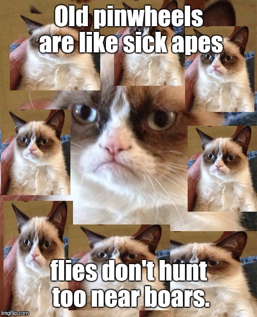 Old pinwheels are like sick apes flies don't hunt too near boars. | made w/ Imgflip meme maker