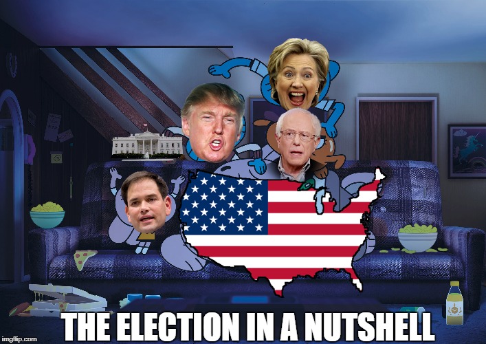 THE ELECTION IN A NUTSHELL | image tagged in political meme,funny | made w/ Imgflip meme maker