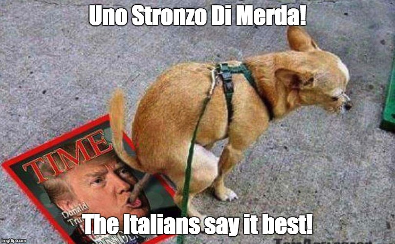 Trump and Dog | Uno Stronzo Di Merda! The Italians say it best! | image tagged in trump,dog,feces,italian | made w/ Imgflip meme maker