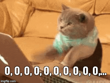 "Type O's" ?  OK! | O, O, O, O, O, O, O, O, O, O,... | image tagged in gifs,cat typing,funny | made w/ Imgflip video-to-gif maker