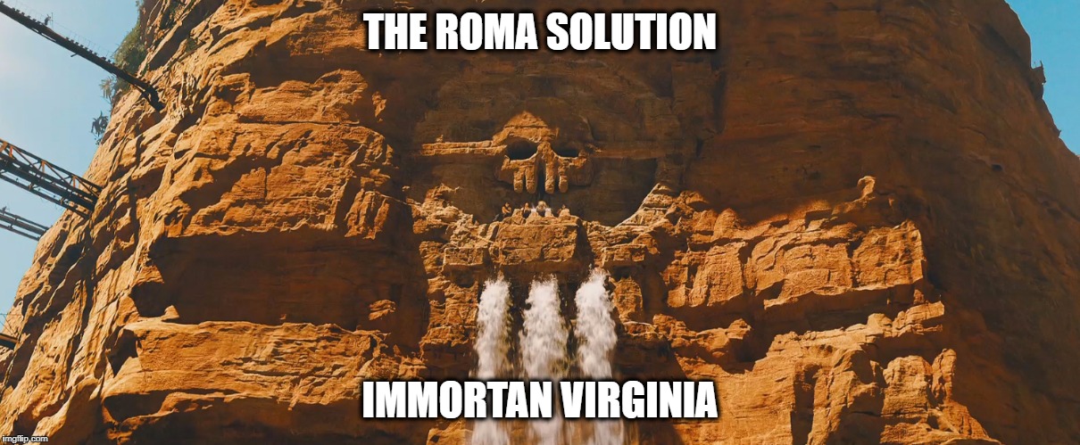 THE ROMA SOLUTION; IMMORTAN VIRGINIA | image tagged in immortan water | made w/ Imgflip meme maker