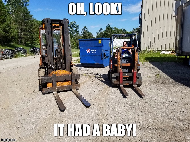 Isn't it CUTE? | OH, LOOK! IT HAD A BABY! | image tagged in memes,forklift,wildlife,baby | made w/ Imgflip meme maker