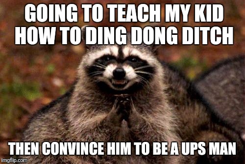 Evil Plotting UPS Raccoon | GOING TO TEACH MY KID HOW TO DING DONG DITCH; THEN CONVINCE HIM TO BE A UPS MAN | image tagged in memes,evil plotting raccoon | made w/ Imgflip meme maker