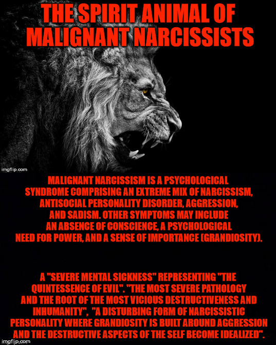 The Lion, the spirit animal of malignant narcissists. | image tagged in lion,spirit,animal,malignant narcissism,evil,mental illness | made w/ Imgflip meme maker
