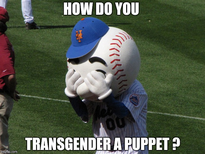 Mr. Met | HOW DO YOU TRANSGENDER A PUPPET ? | image tagged in mr met | made w/ Imgflip meme maker