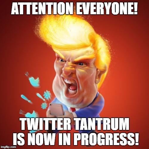 ATTENTION EVERYONE! TWITTER TANTRUM IS NOW IN PROGRESS! | image tagged in twitter,donald trump is an idiot | made w/ Imgflip meme maker