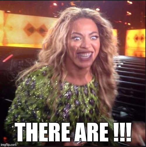 Memes, Beyonce | THERE ARE !!! | image tagged in memes beyonce | made w/ Imgflip meme maker