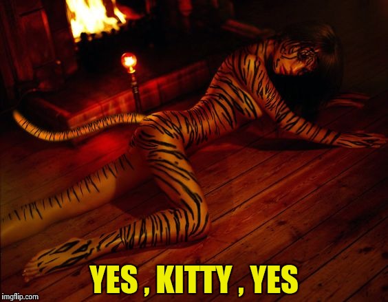 YES , KITTY , YES | image tagged in tiger lady | made w/ Imgflip meme maker