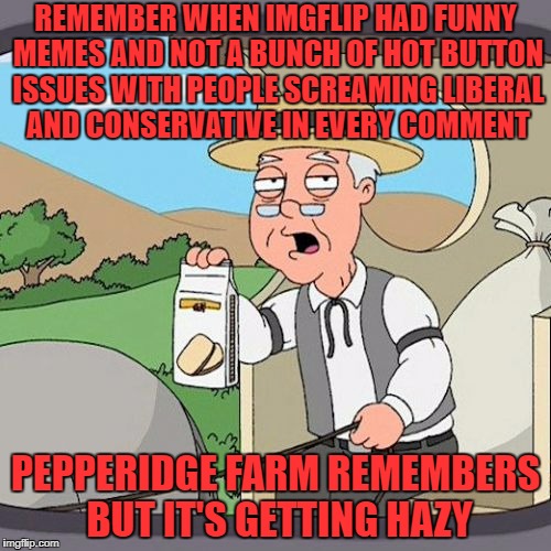 both sides of the aisle need to grow up. we are all in this boat together so stop drilling holes | REMEMBER WHEN IMGFLIP HAD FUNNY MEMES AND NOT A BUNCH OF HOT BUTTON ISSUES WITH PEOPLE SCREAMING LIBERAL AND CONSERVATIVE IN EVERY COMMENT; PEPPERIDGE FARM REMEMBERS BUT IT'S GETTING HAZY | image tagged in memes,pepperidge farm remembers | made w/ Imgflip meme maker