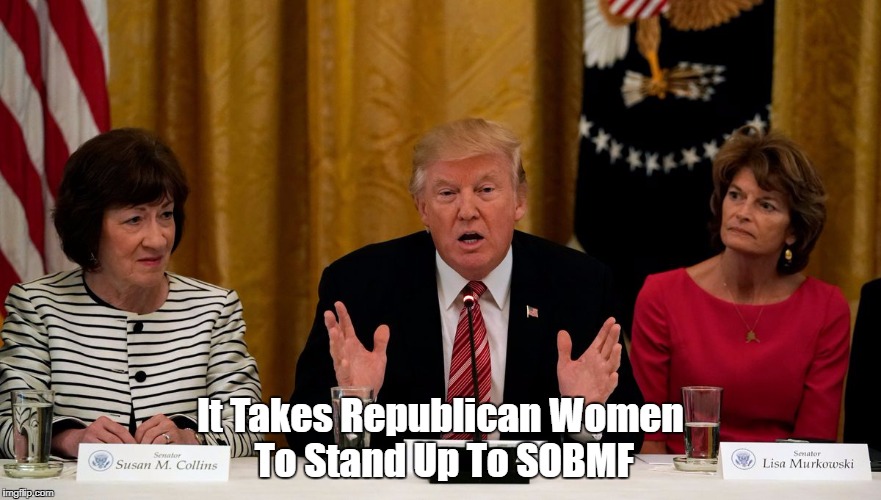 It Takes Republican Women To Stand Up To SOBMF | made w/ Imgflip meme maker