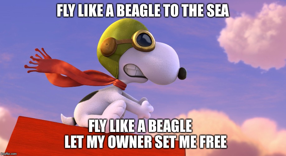 FLY LIKE A BEAGLE TO THE SEA FLY LIKE A BEAGLE    LET MY OWNER SET ME FREE | made w/ Imgflip meme maker