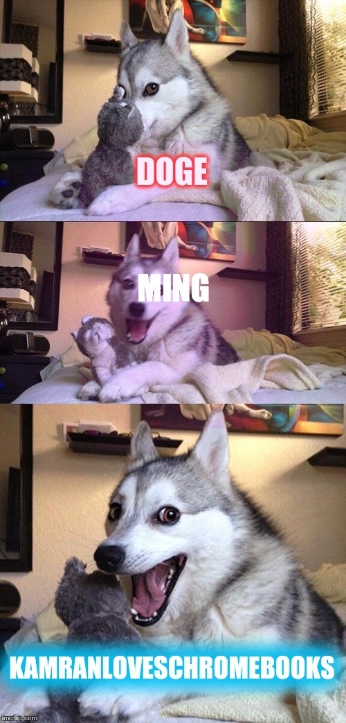 love chromebooks lol | DOGE; MING; KAMRANLOVESCHROMEBOOKS | image tagged in memes,bad pun dog | made w/ Imgflip meme maker