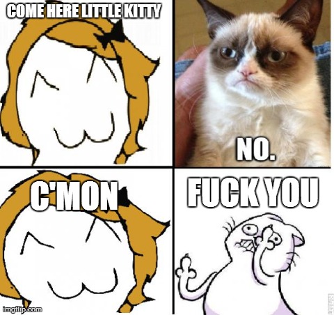 cat rage comics