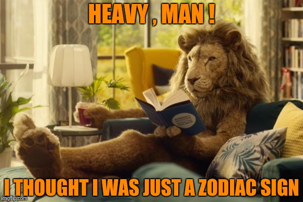 Lion relaxing | HEAVY , MAN ! I THOUGHT I WAS JUST A ZODIAC SIGN | image tagged in lion relaxing | made w/ Imgflip meme maker